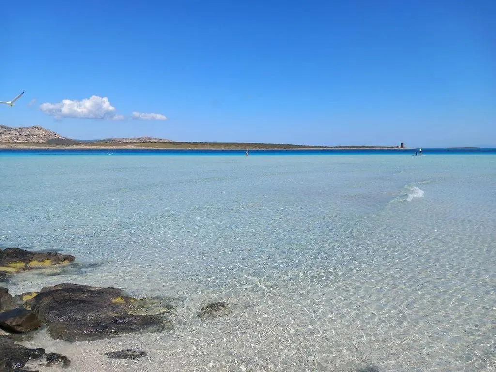 Villetta Con Piscina E Ampio Giardino Stintino
