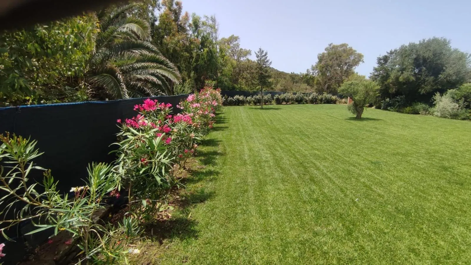 Villetta Con Piscina E Ampio Giardino Stintino